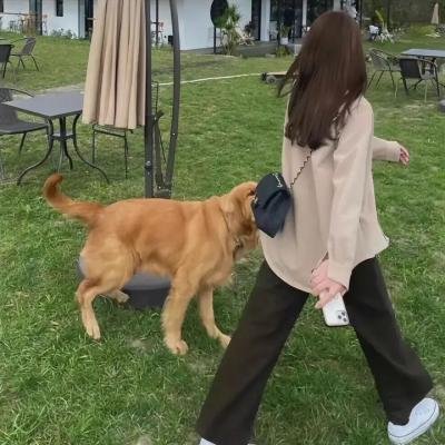 罪美人
